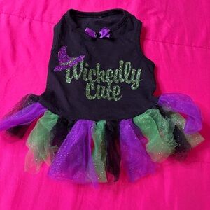 DOG🐕‍🦺 Wickedly Cute Tutu Dress Pet Costume,
SIMPLY DOG APPAREL Medium